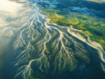 Veins of Fire, Heart of Earth - landscape nature painting | Draw Tools